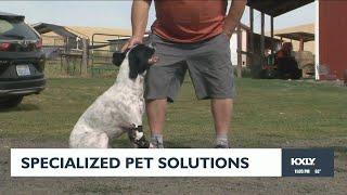 Specialized pet solutions