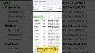 How To Display Project Summary in Microsoft Project  #msproject #microsoftproject #projectmanagement