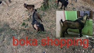 boka shopping   Panauti Nepal 