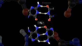 The Mysterious Structure of DNA! #shorts #shortvideo #short #subscribe #biology #chemistry #physics