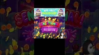 카메오 펭귄이 스위트보난자 4만바리 바닥진입!! #슬롯머신 #슬롯 #프라그마틱 #잭팟 #slot #pragmatic
