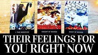 PICK A CARD Their TRUE FEELINGS For You RIGHT NOW!  They want you to know THIS!  Tarot Reading