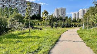 Зеленоград. Прогулка вдоль реки Каменки / Zelenograd. Walk along the Kamenka river