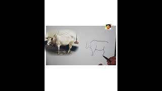 #draw #cow Irfan drawing Academy