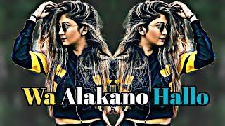 Wa Alakano Hello Vs Oi ami Morjina | Tiktok Vairal Dj 2024 @SabbirRahmanMusic1 #djviral #dj