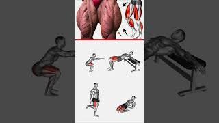 No Equipment Leg Workout at Home for Beginners #short #legexercise