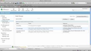 Alfresco 4 Community Demo: Node Browser & Category Manager