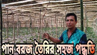 পানের বরজ যেভাবে শুরু করবেন || পান বরজ তৈরির একটি অসাধারণ ভিডিও || vhumi tv || vhumi krishi