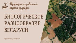 Биологическое разнообразие Беларуси. Природопользование и охрана природы