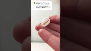 How to put a cowrie shell on string!! #tutorial #viral #jewelrymaking #replytocomments #howto