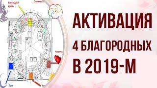 БАЦЗЫ: АКТИВАЦИЯ ЧЕТЫРЕХ БЛАГОРОДНЫХ В 2019 ГОДУ!