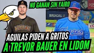 AGUILAS LLAMAN A TREVOR BAUER Tras REGRESAR AL Sotano DE LIDOM lYAIRO MUÑOZ Camino Al Licey