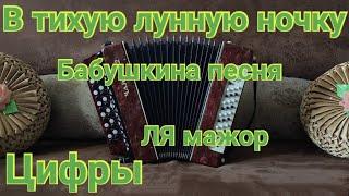 В тихую лунную ночку на гармони. Бабушкина песня. (Цифры в описании) В тихую лунную ночку цифры.