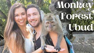 Monkey Forest Ubud Sanctuary | Bali Indonesia