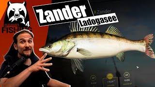 Russian Fishing 4 - Ladogasee - Zander, Saibling und Co. - Texas Rig