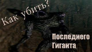 Как убить Последнего Гиганта? Dark souls 2