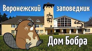 Воронежский биосферный заповедник. Дом бобра