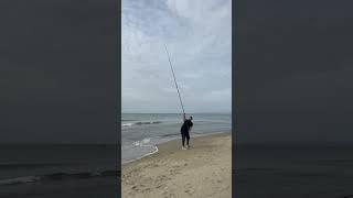 Cannolicchio in pendulum #fishing #fish #surffishing #longcasting #surfcasting #pesca #beach #angler