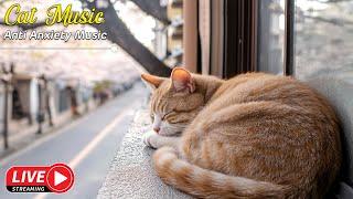 Peaceful Cat Sleep Music: Gentle Tunes to Help Your Feline Friend Relax and Sleep Soundly 