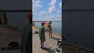 Carpfishing BIG-FISH #fishing #fish #carpfishing #carp #bigfish #super #class #youtube #youtuber