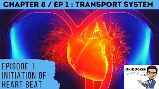 Chapter 8 EP 1 / Sem 2 : The Initiation of Heart Beat (Matriculation Biology)