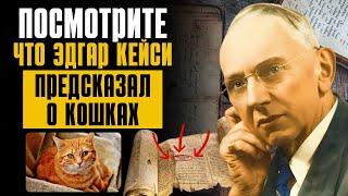 СТРАШНОЕ ПРОРОЧЕСТВО ЭДГАРА КЕЙСИ ДЛЯ ТЕХ, У КОГО ЕСТЬ КОШКА! Закон притяжения