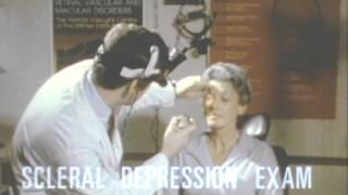 American Academy of Ophthalmology-Flashes and Floaters
