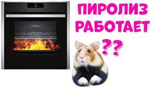 ДУХОВОЙ ШКАФ с ПИРОЛИЗОМ - Стоит ли Покупать?