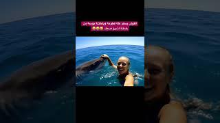 القرش يسلم علة فطومة وياخذلة بوسة من خدهة اشبع ضحك  #السعودية #قطر #الامارات #الكويت #البحرين