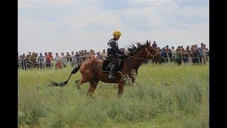 Наадым 2019 Аът чарыжы