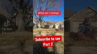 The Best Way to Cleanup Leaves - Part 1