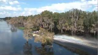 The Ultimate Orlando Wilderness Airboat DAY Adventure Alligator