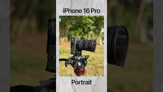 iPhone 16 Pro Max Vs Google Pixel 9 Pro XL Camera Test 