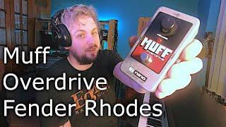 EHX Muff Overdrive on a Fender Rhodes Piano! - Overdrive FX Pedal