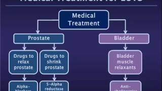 Medical Treatment fro Benign Prostatic Hyperplasia (BPH)/Lower Urinary Tract Symptoms (LUTS)