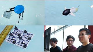 A robotic pool party | MIT CSAIL