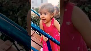 PAPA #funny #remix #new #trending #shortsfeed #cats #catvideos #viralvideo #cat #cute #ytshorts