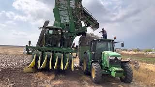 Pamuk hasad zamanı - John deere 9970 pamuk toplama makinesi