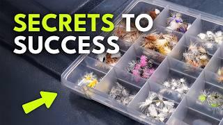 Answering the Most Important Fly Fishing Questions — Dry Flies | Ep. 125