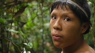 Les Paradis Perdus d' Amazonie