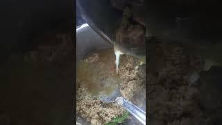 मटण पुलाव #pulao #nonvegworld #nonveg #nonvegrecipe #youtube #food #cooking #viral #lifeisbutadream