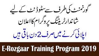 Youth can Earn Rs 80,000 per month with E-Rozgaar Training Program 2019