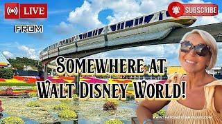 Live from somewhere at Walt Disney World #live 6/11/25
