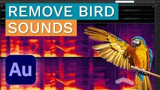 How to Remove Unwanted  Bird Sounds from Audio - When ️ Gets in a way...