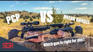 GAMO Urban VS Magnum - PCP VS Break Barrel what airgun to get?  hint hint get BOTH!