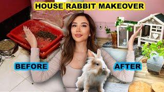 House Rabbit Makeover in a 50-square-foot apartment: MEXICO  | Episode 11