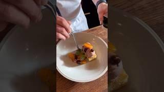 A Gorgeous Starter