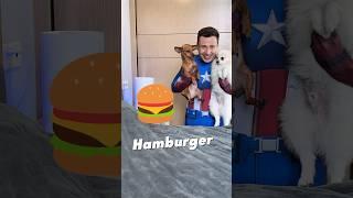 А вы знали про HamBurger?) #английскийЯзык #английский #English #английскийДляДетей #дети