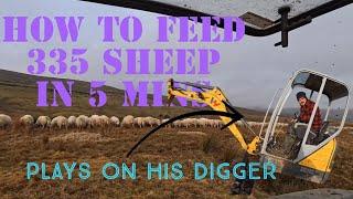 How to feed 335 SHEEP in 5 mins!!!