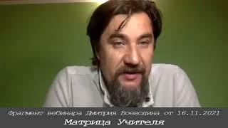 Дмитрий Воеводин о Матрице Учителя (Космоэнергетика Петрова В А). Фрагмент вебинара от 16.11.21 года